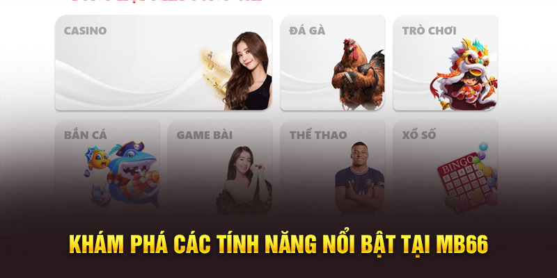Khám phá các tính năng nổi bật tại Mb66