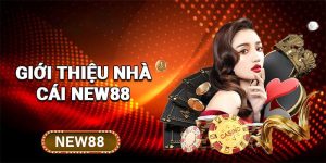 New88 - Sân chơi cá cược đẳng cấp 2024