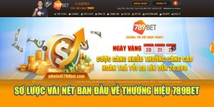 Sơ lược vài nét ban đầu về thương hiệu 789Bet