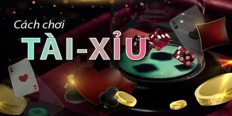 Cách Chơi Tài Xỉu Chính Xác Và Dễ Thắng Cho Người Mới