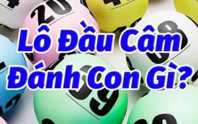 Đầu Lô Câm Đánh Con Gì? Hướng Dẫn Chơi Lô Cho Newbie 